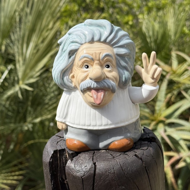 Einstein porte Bonheur