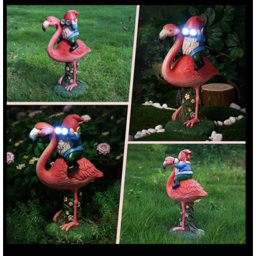 Flamand Rose et Nain Lumineux