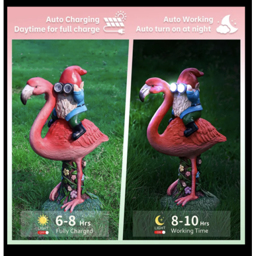 Flamand Rose et Nain Lumineux